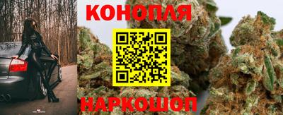 винт Сланцы