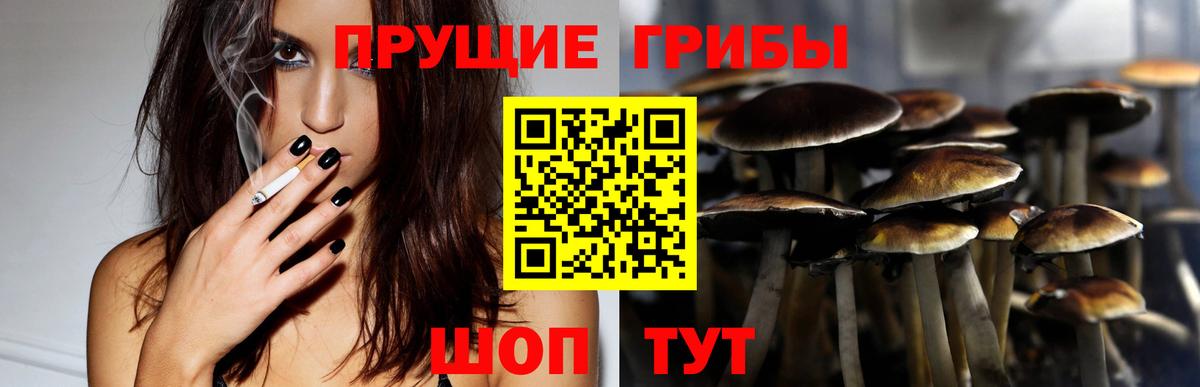 Галлюциногенные грибы Psilocybe  Вход с VPN  Псилоцибиновые грибы мицелий  Павловский Посад 